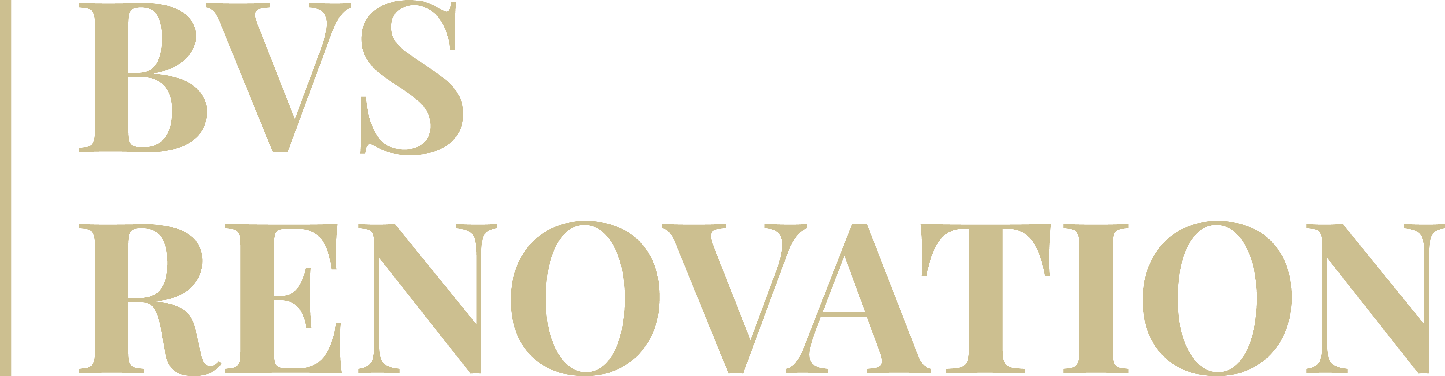 BVS Rénovation